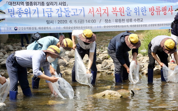 한국타이어, 멸종위기종인 ‘감돌고기’ 방류 행사 진행