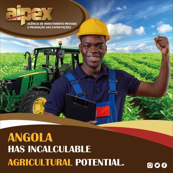 “앙골라는 수치로 표현 못할 엄청난 농업 잠재력을 가지고 있다”는 포스터.