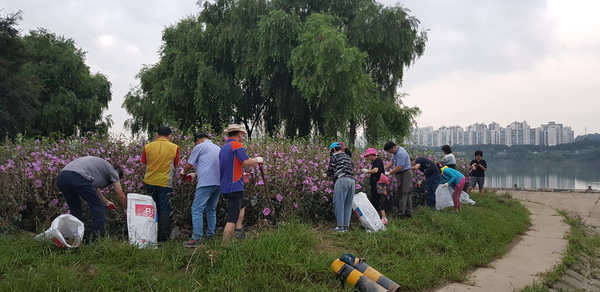 국제라이온스 협회 354-A지구 회원들이 폭우로 쓰러진 무궁화 꽃들을 일으켜 세우고 있다. 